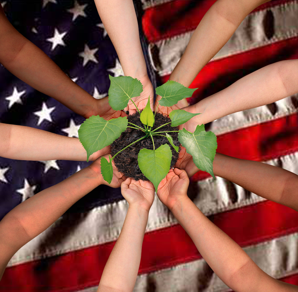 Flag hands